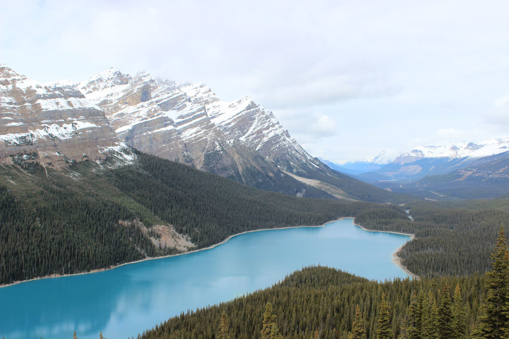Lac Peyto - Les Rocheuses- Banff - Canada - Parenthèse Canadienne