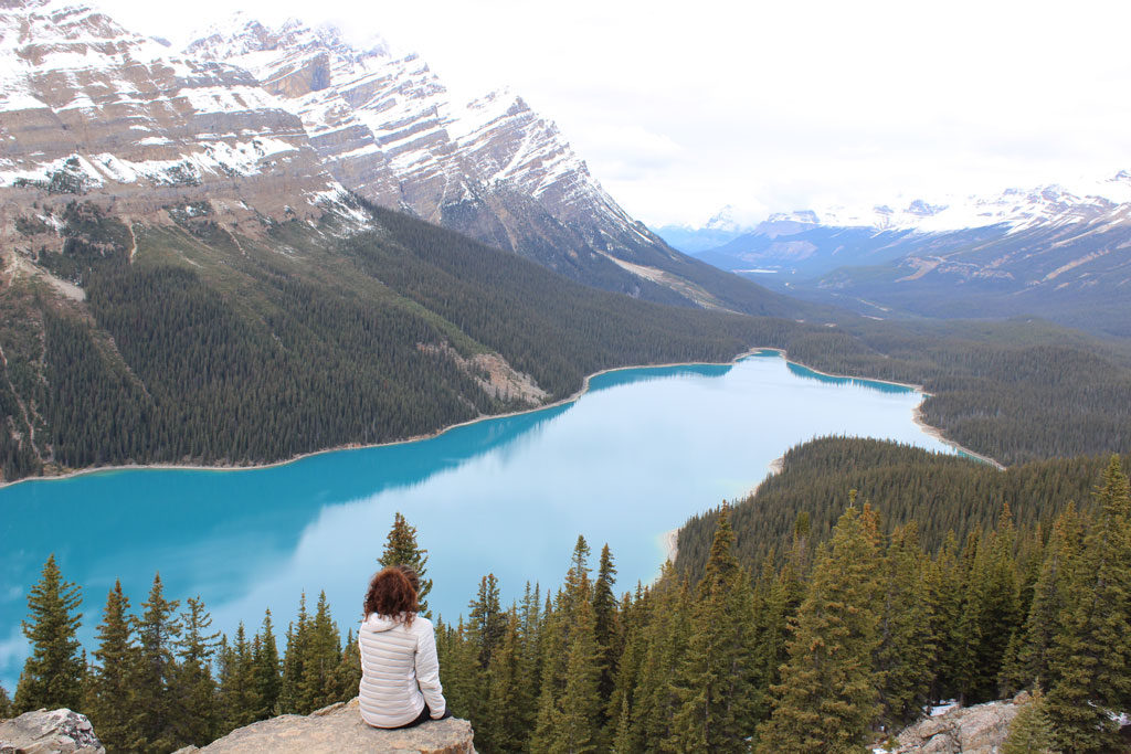 Lac Peyto - Les Rocheuses- Banff - Canada - Parenthèse Canadienne
