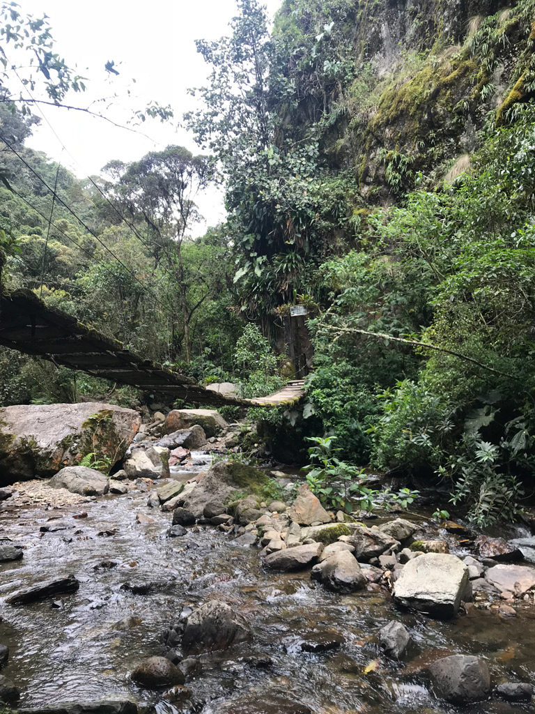 Petit pont à traverser dans la Vallée de Cocora